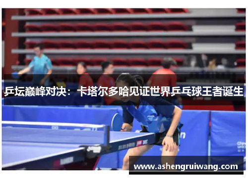 乒坛巅峰对决：卡塔尔多哈见证世界乒乓球王者诞生