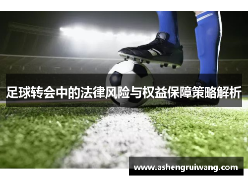 足球转会中的法律风险与权益保障策略解析